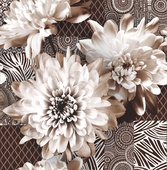 Conjunto Arual Marron
